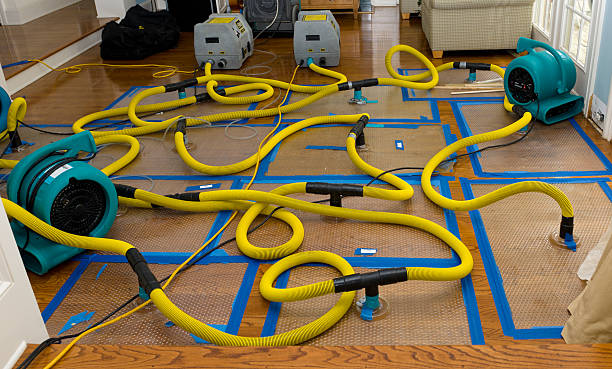 Professional Crawl Space Water Removal technician working in Long Beach, NY